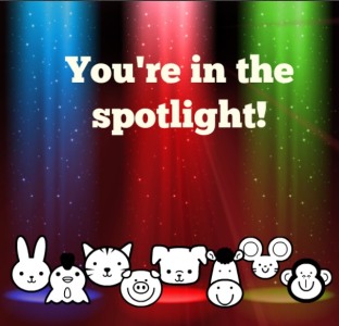 an in the spotlight gift